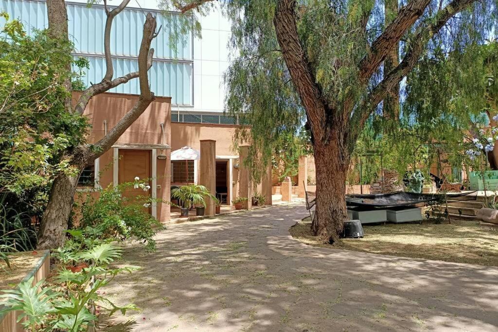 サンタクルスデテネリフェApartamento-Bungalow Con Jardin Y Garajeアパートメント エクステリア 写真